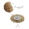 CEPILLO ACERO LATONADO PARA TALADRO. DISCO Ø 75 MM. ESPIGA 1/4 CEPILLO TALADRO ALAMBRE LATÓN, CEPILLO LIMPIEZA, CEP