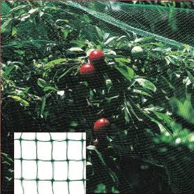 MALLA ANTIPAJAROS (ROLLO 2 X 10 METROS) RED PROTEGER ARBOLES, CULTIVOS, FRUTAS.