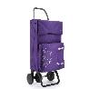 CARRO COMP.4R.TERMO MORADO ROLSER