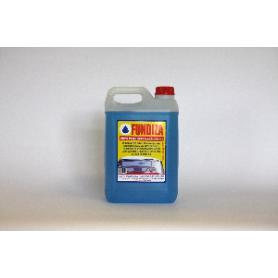 LIMPIAPARABRISAS 5L