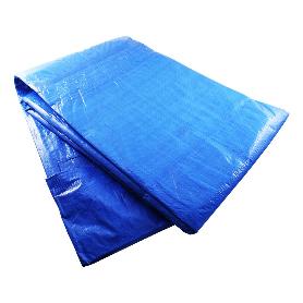 TOLDO RAFIA 4,90X7,90  AZUL C/ OLLAOS (5X8 M)