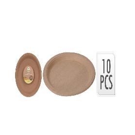 PLATOS CARTON 22 CM