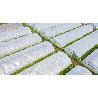 PLASTICO TRANSPARENTE 3 M GALGA 600