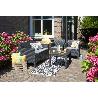 SILLONES 65X65X75 CM + SOFA 75X126X65 CM + MESA 59X43 CM