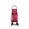 CARRO COMPRA IMAX TERMO ZEN 4L BASSI