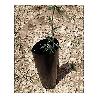 PROTECTOR ARBOLES 60X20 CM G900