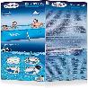 PISCINA STEEL PRO 300X201X66 CM 56404