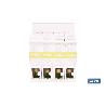 AMBIENTADOR DE COCHE GREEN TEA AND LIME 6 ML   CAJA 12 UNID.