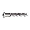 TORNILLO ENSAMBLAR 5X50 X100