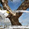 SERRUCHO PODAR CURVO MANGO TPR JD-330 MM