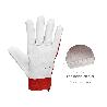 GUANTES PIEL / LONA CON VELCRO. CON COLGADOR 8 GUANTES DE TRABAJO, GUANTES DE PROTECCIÓN (PAR)