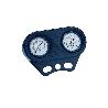 CONJUNTO PANEL MANOMETROS 3 KG/CM2 00729 ASTRAL