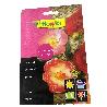 AMAPOLA SHIRLEY ORNAMENTAL 50599 FLOWER