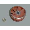 RODETE 5,5 HP 4405020217 ASTRAL