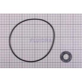 JUNTAS CUERPO BOMBA DE 3 - 5,5 HP 4405020233 ASTRA