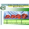CAZUELA LOZA FINSTOCK REDONDA 30 CM REF LOM01017