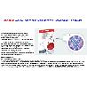 BAJA NATURAL CONTROL ELIMINA INSECTOS 3WATIOSMINILED1243 001