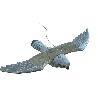 PLUVIA AGUILA VOLADORA 58X35X10 REF. 501