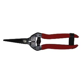 PLUVIA TIJERA CITRICOS  7  175 MM HOJA RECTA CORTA  PLCT07