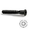 TORNILLO AUTORROSCANTE ROSCA MADERA, ALLEN PAVONADO 7-50 CABEZA PLANA CON PUNTA