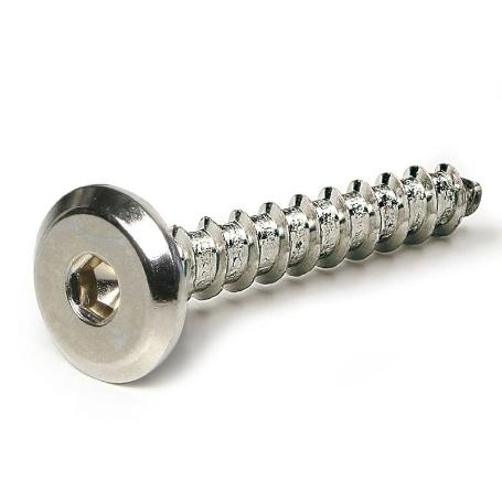 TORNILO EMBELLECEDOR CABEZA PLANA TEGAS 6,3 LARGO 50NM DIÁMETRO 6.3