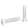 TORNILLO NYLON DIN-965 6-10