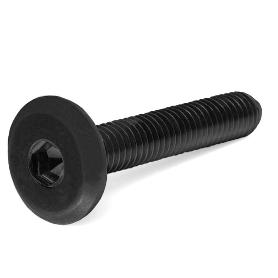 TORNILLO CEGAS CABEZA PLANA ALLEN NEGRO LARGO 60MM DIÁMETRO 6MM