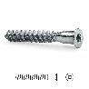 TORNILLO AUTORROSCANTE ROSCA MADERA ALLEN ZINCADO 7-70 CABEZA CON PUNTA