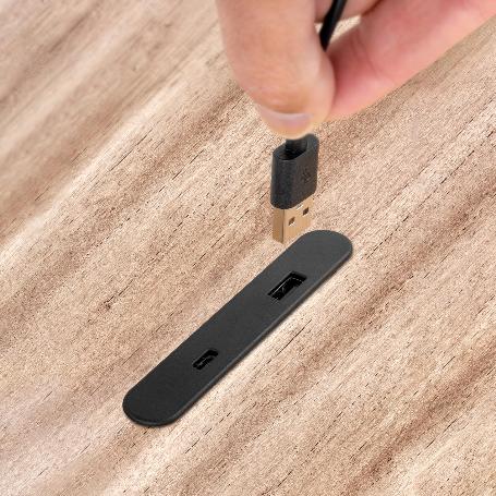 EMUCA CONECTOR USB A Y C PARA CARGAR LINKY, 81X12MM, PARA ENCASTRAR O SUPERFICIE, PLÁSTICO, NEGRO