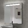 EMUCA ESPEJO DE BAÑO PEGASUS CON ILUMINACIÓN LED FRONTAL, RECTANGULAR 600X700MM, AC 230V 50HZ, 6W, ALUMINIO Y CRIST