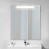 EMUCA ESPEJO DE BAÑO PEGASUS CON ILUMINACIÓN LED FRONTAL, RECTANGULAR 600X700MM, AC 230V 50HZ, 6W, ALUMINIO Y CRIST