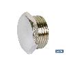 TAPON HEX. ROSCA MACHO R-1 VENTA UNITARIA