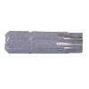 PUNTA DE DESTORNILLADOR TORX T-40 25 MM VENTA UNITARIA