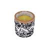 VELA AROMÁTICA DE CITRONELA MACETA DECORADA  170 G