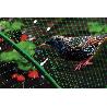 MALLA ANTIPAJAROS 2X5M 7G/M2