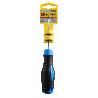 DESTOR.TOPEX PH 2X100 MM