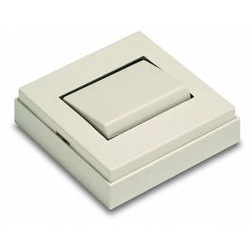 INTERRUPTOR SUPERFICIE10A 250V (REF.5002-B)