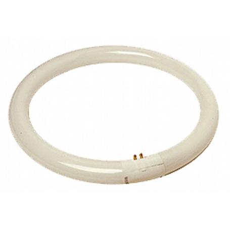 TUBO FLUOR.CIRCULAR 32W TRIFOSFORO