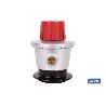 REGULADOR DE GAS SALIDA LIBRE